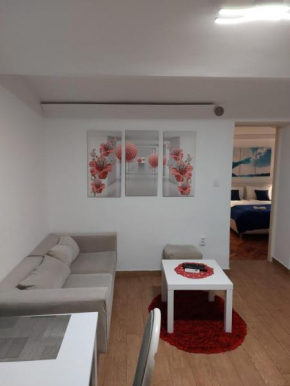 Inter Apartment Belgrade with free Parking